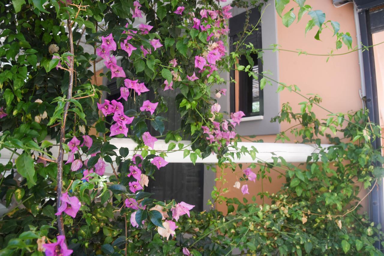 Alissachni Luxury Apartments Derveni Exterior photo